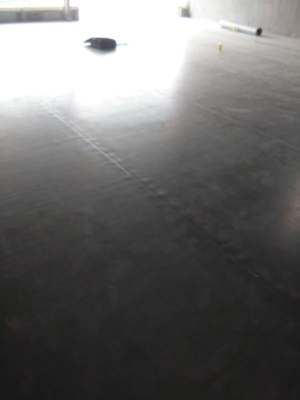 陳露滑冰俱樂部舞蹈地膠鋪設(shè)案例