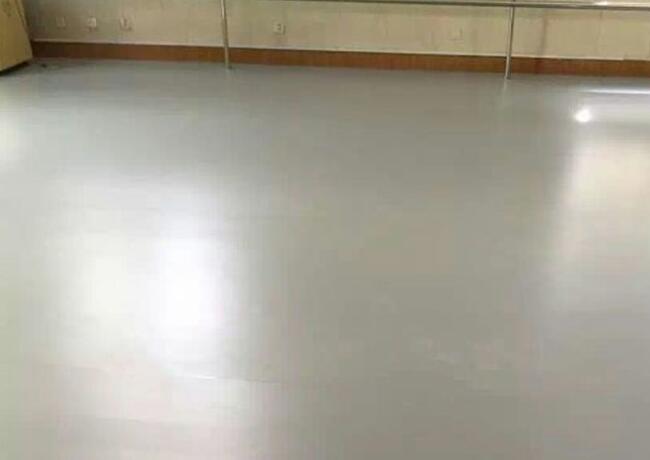 舞蹈地膠--上海市閔行區(qū)顓橋中心小學(xué)成功案例