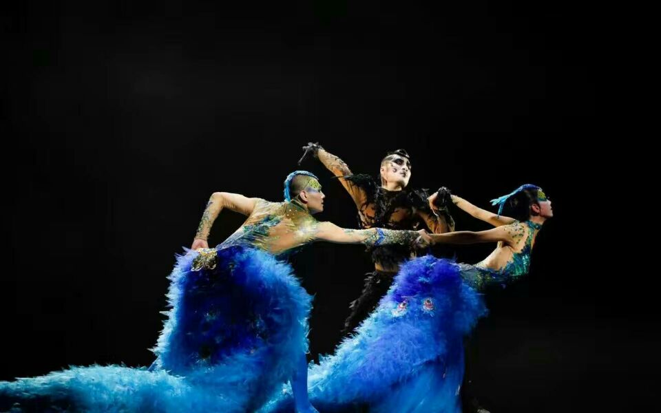 舞臺地膠--黃山楊麗萍舞臺劇巡演舞臺鋪設成功案例