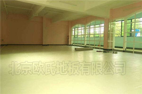 舞蹈室地膠--廣東清遠佛岡縣蟲兒飛藝術培訓中心