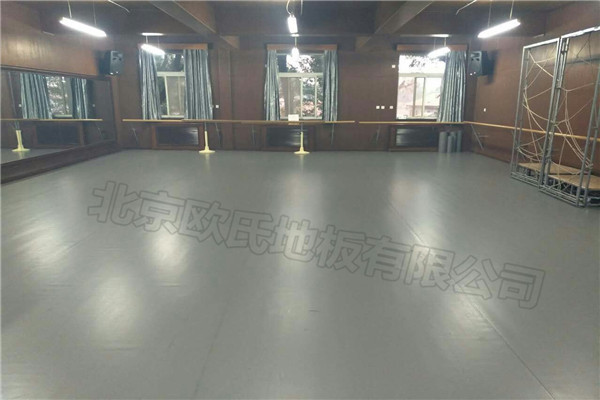 舞蹈地膠--北京市第十八中學附屬實驗小學