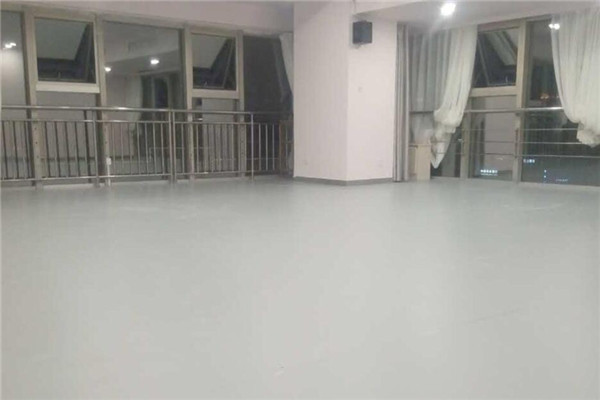 舞蹈地膠--西安舞蹈培訓班成功案例