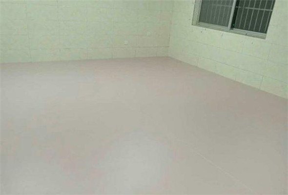 舞蹈地膠--山東臨沂平邑蒙陽新星學校成功案例