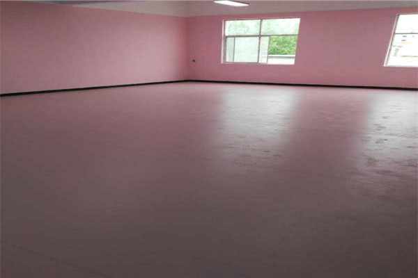 舞蹈地膠--河南洛陽5678藝術學校成功案例