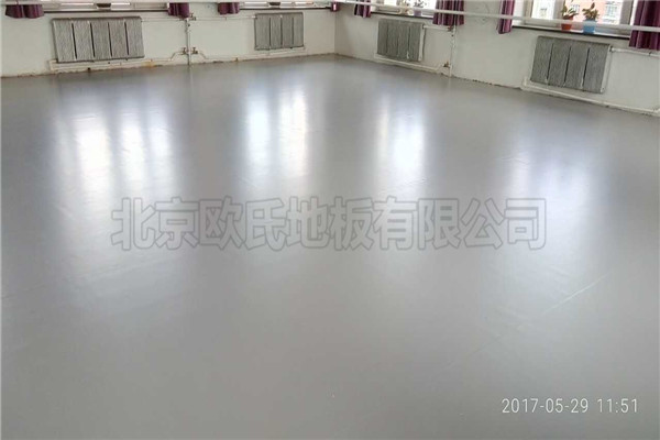 舞蹈地膠--內蒙林業文工團成功案例