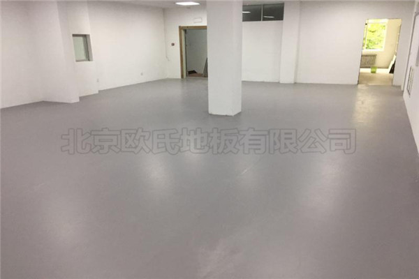 舞蹈地膠--河北承德灼華藝術中心成功案例