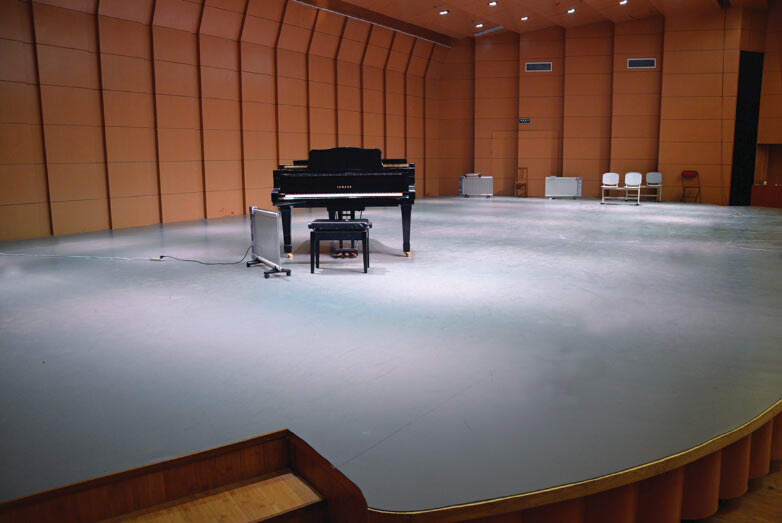 舞蹈地膠 舞蹈地膠