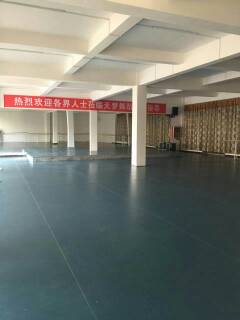 舞蹈地膠,舞蹈地板,舞蹈室地膠
