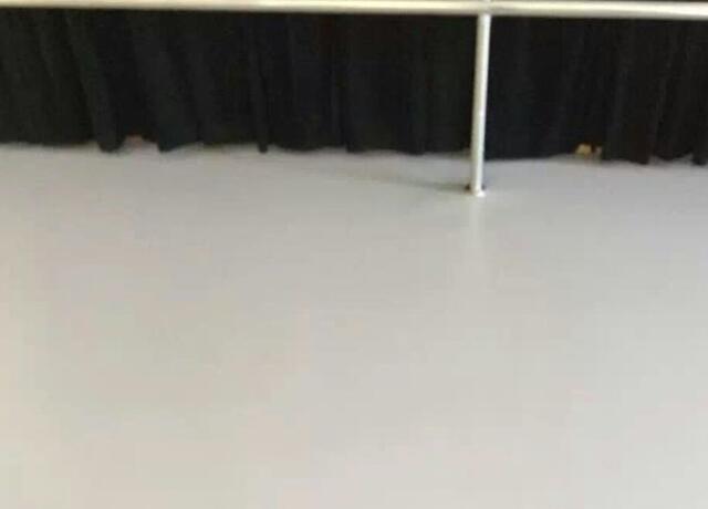 舞蹈地膠 舞蹈地膠