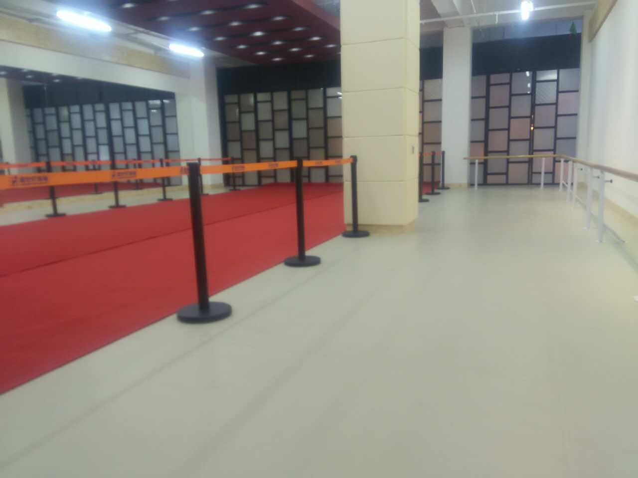 舞蹈地膠 舞蹈地膠