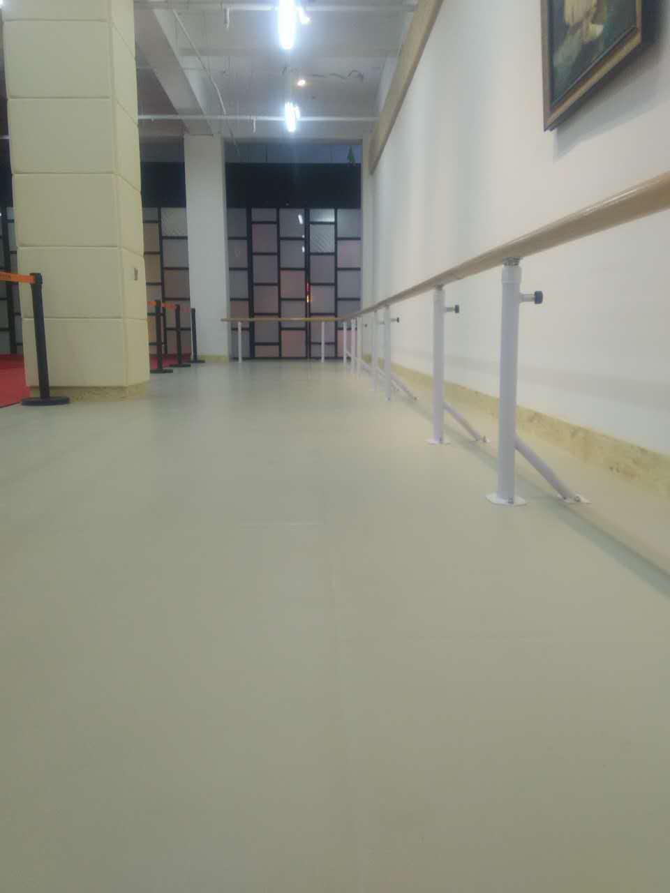 舞蹈地膠 舞蹈地膠