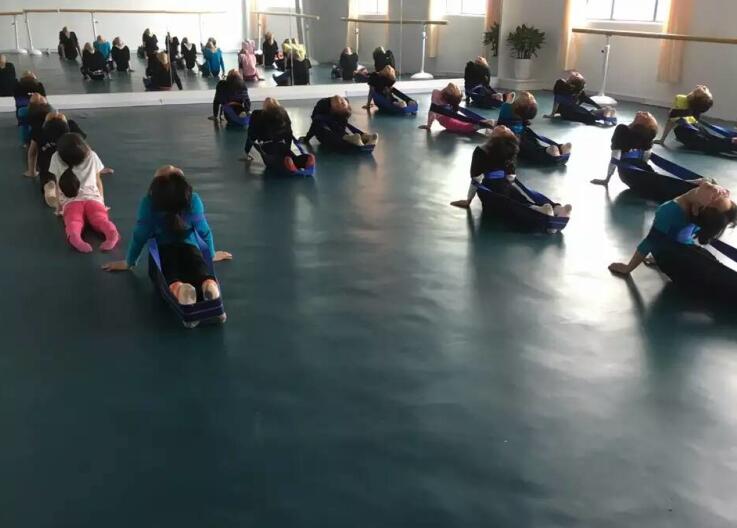 舞蹈室地膠,舞蹈地膠