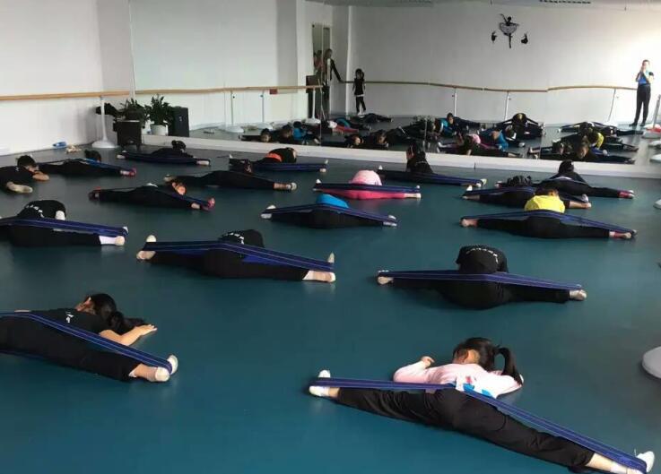 舞蹈室地膠,舞蹈地膠