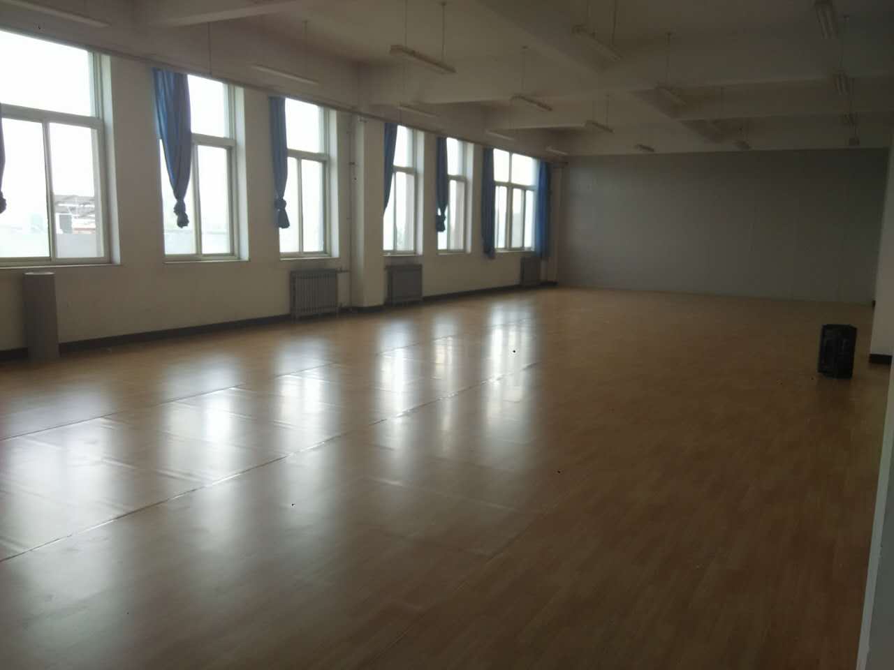 舞蹈室地膠,舞蹈地膠