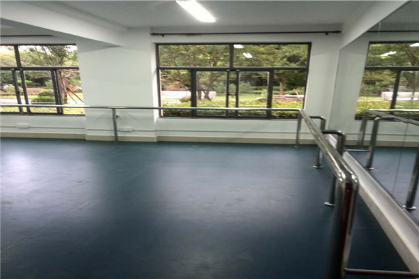 舞蹈地膠,舞蹈室地膠 舞蹈地膠,舞蹈室地膠