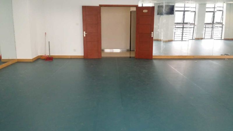 舞蹈地膠 舞蹈地膠