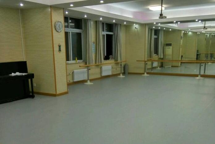 舞蹈地膠 舞蹈地膠