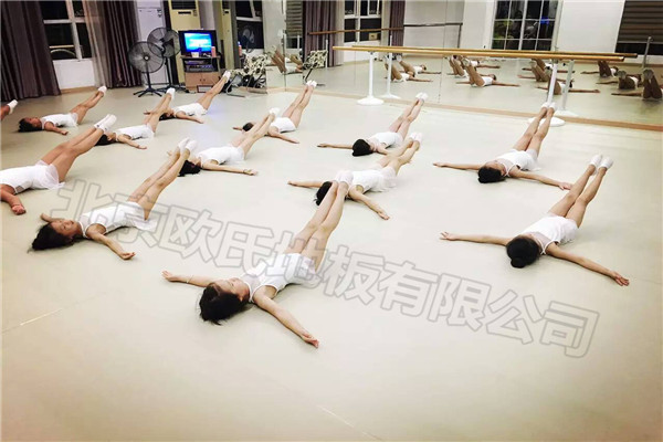 舞蹈地膠,舞蹈室地膠 舞蹈地膠,舞蹈室地膠
