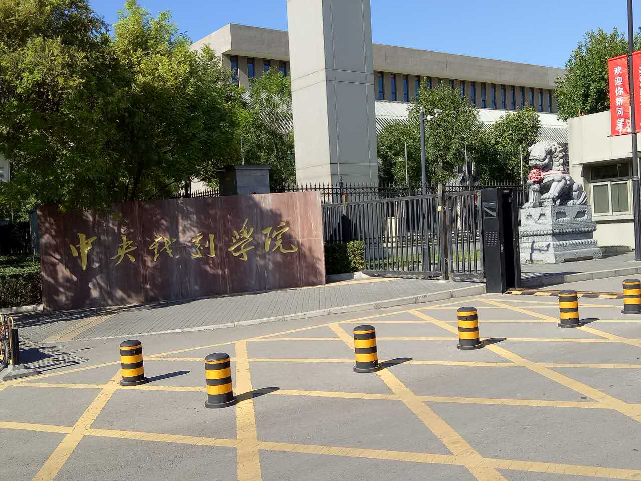 舞蹈地膠,舞蹈室地膠