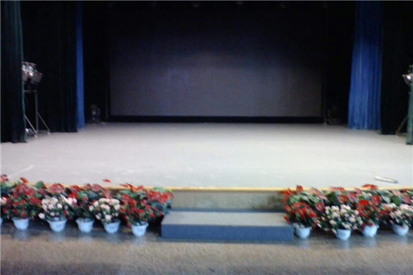 舞蹈地膠,舞臺地膠 舞蹈地膠,舞臺地膠