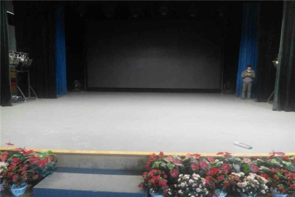 舞蹈地膠,舞臺地膠 舞蹈地膠,舞臺地膠