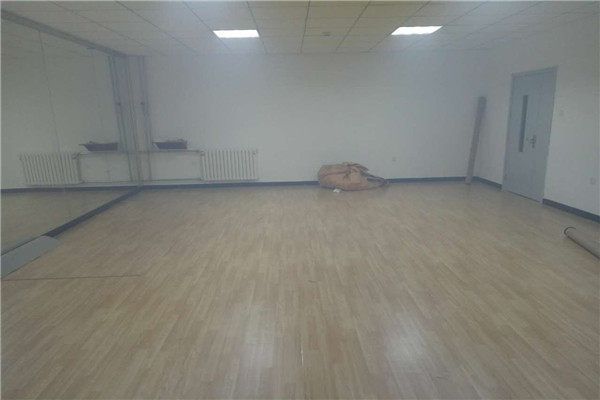 舞蹈地膠 舞蹈地膠