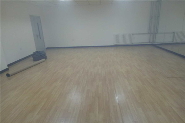 舞蹈地膠 舞蹈地膠