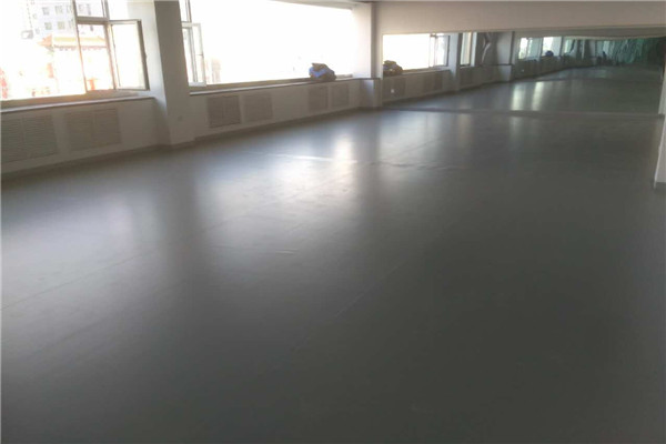 舞蹈地膠 舞蹈地膠