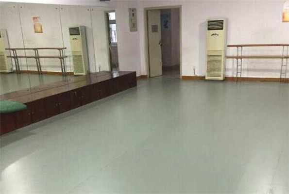 舞蹈地膠 舞蹈地膠