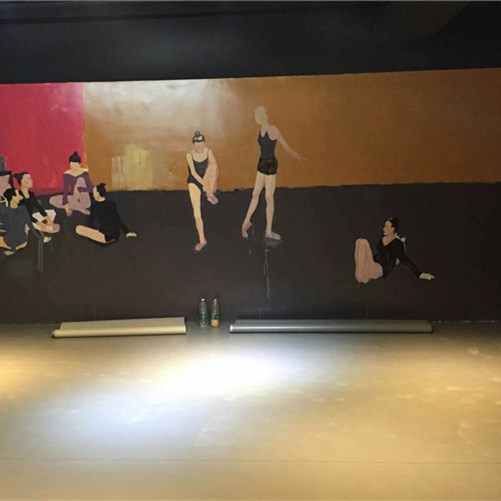 舞蹈地膠,舞蹈室地膠 舞蹈地膠,舞蹈室地膠